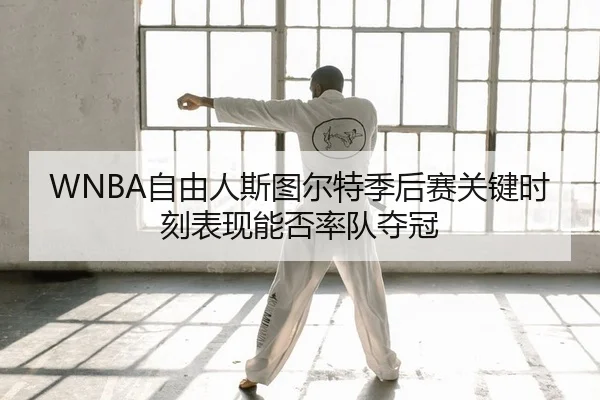 WNBA自由人斯图尔特季后赛关键时刻表现能否率队夺冠